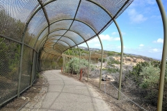 crystal-cove-state-park-paved-trail