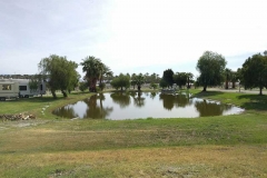 oasis-palm-rv-resort-pond