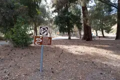 tapocanyon-rattle-snakes