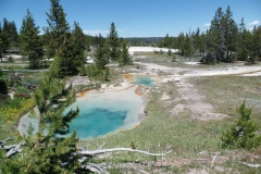 Yellowstone springs