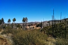 Cuyamaca Rancho State Park hiking