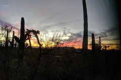 Gilbert Ray Campground AZ sunset