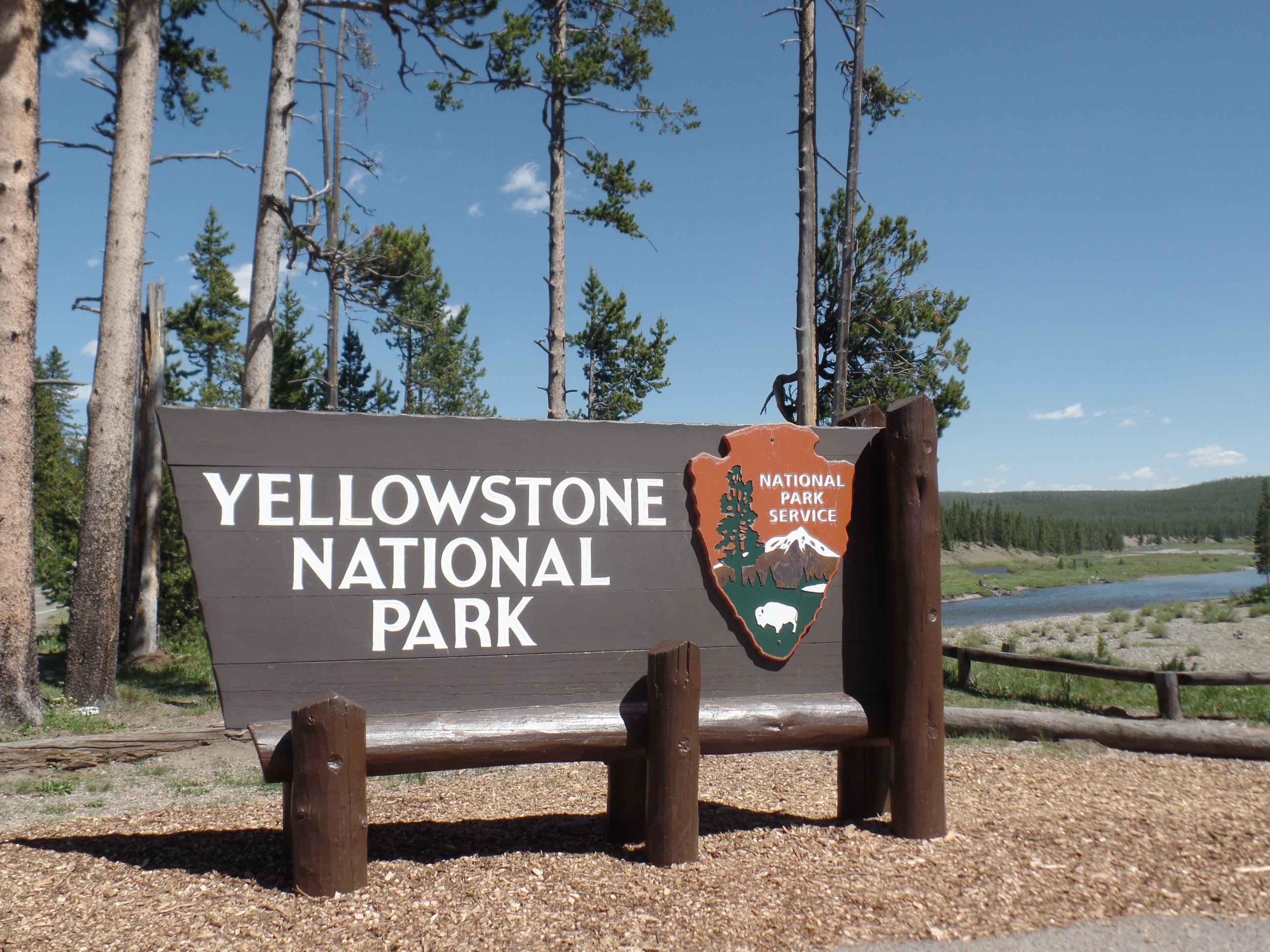 Experience Yellowstone